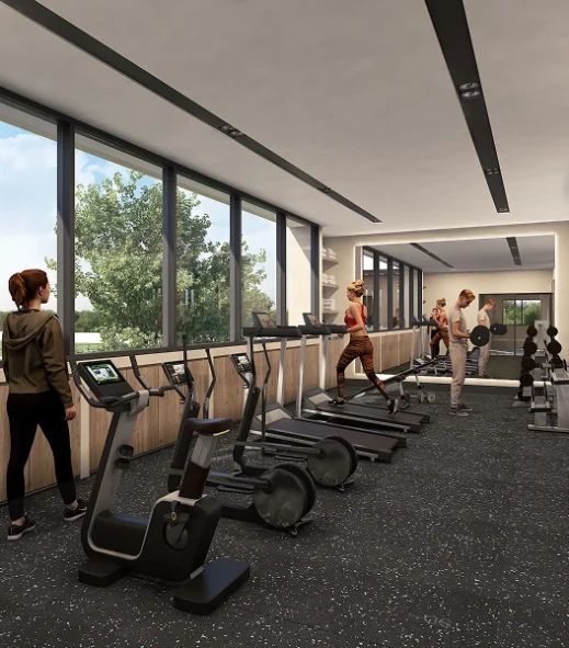 Gimnasio